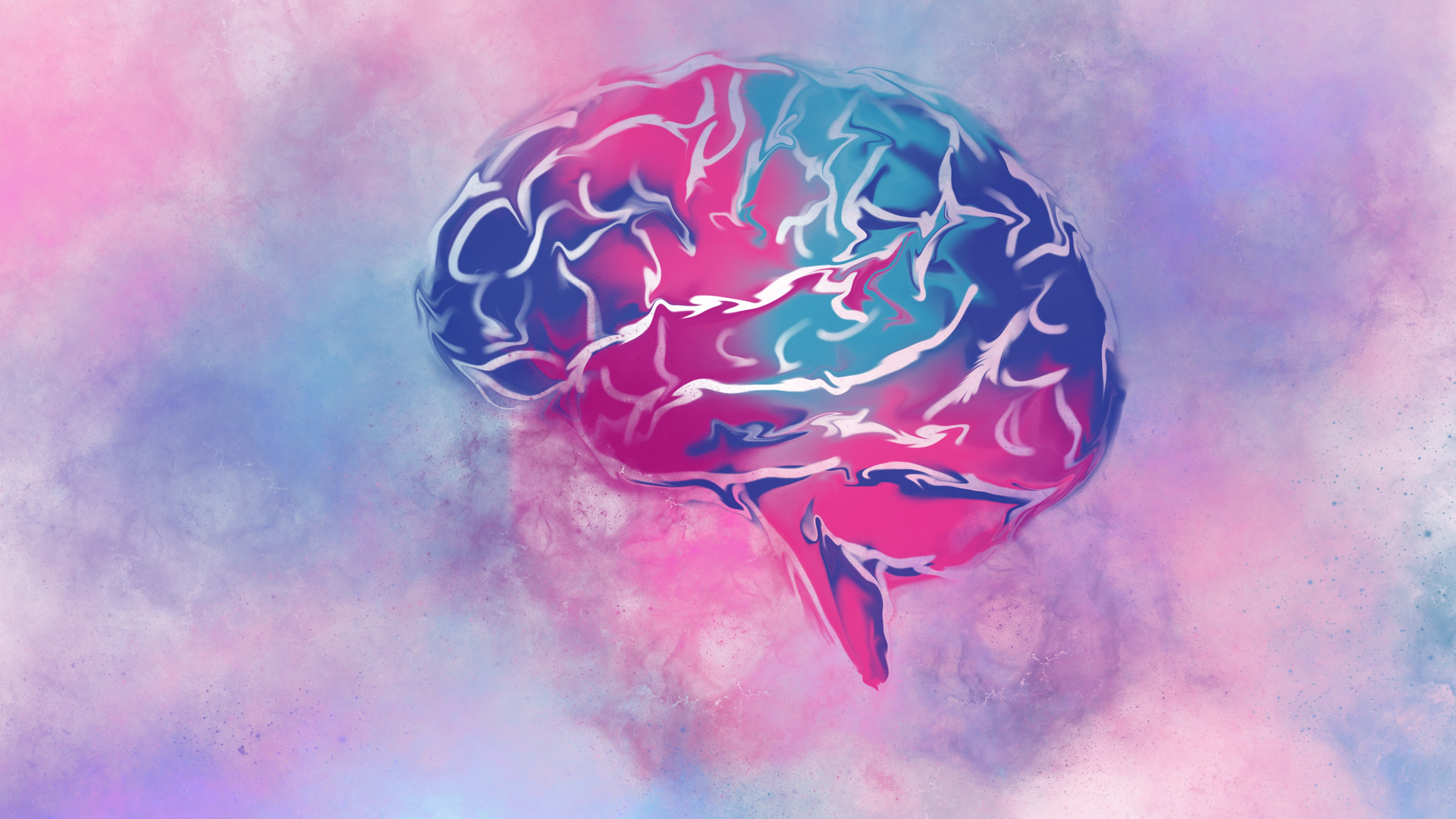 Adobe Stock 311394143 6323209c3dce8