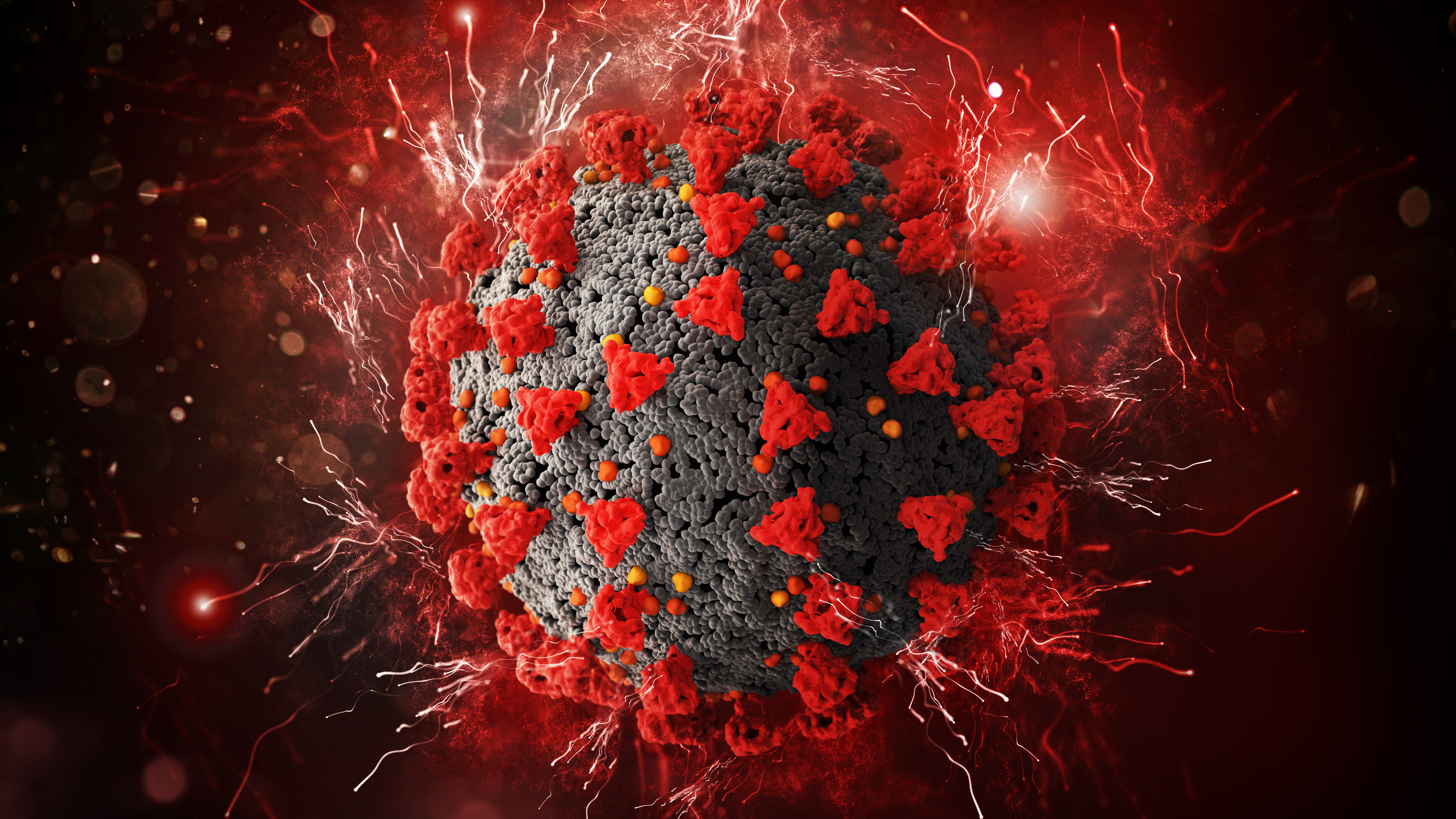 Adobe Stock 334868336 63331b0e47423