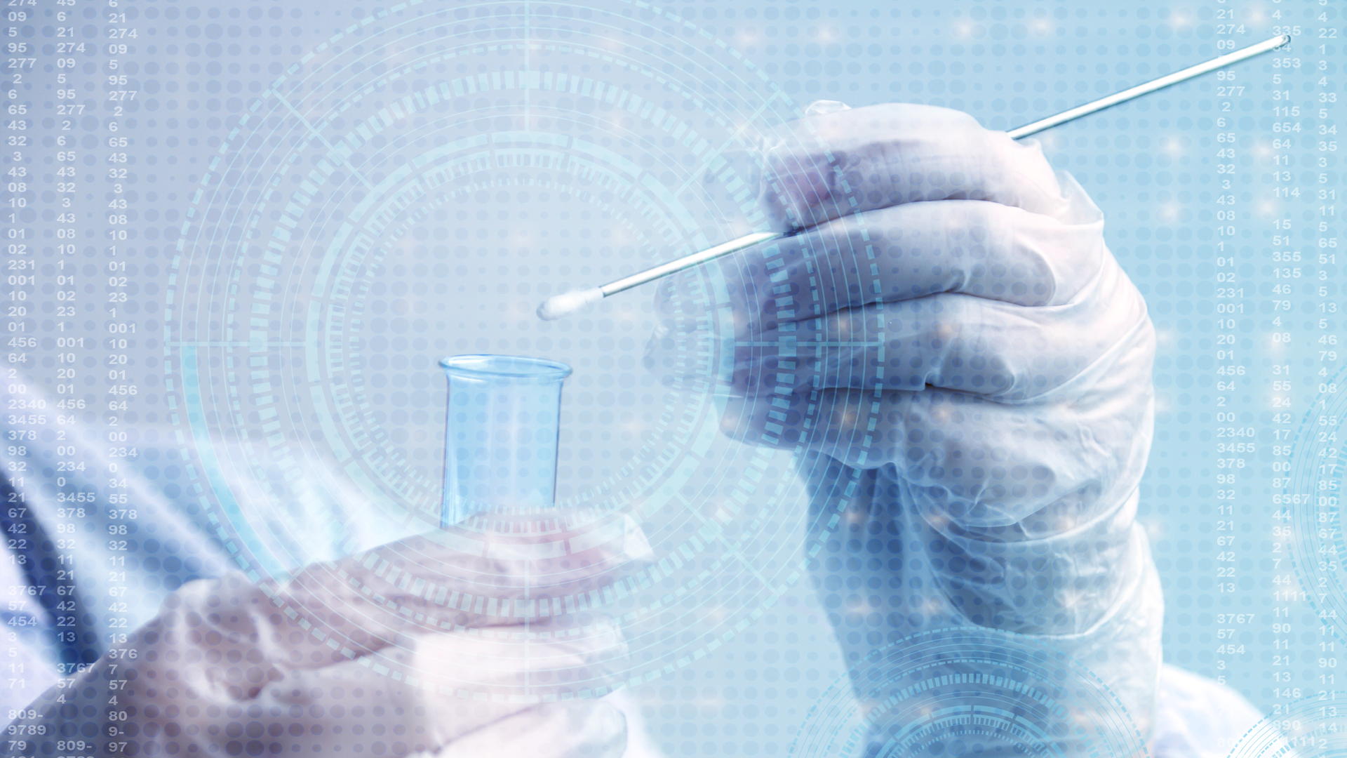 Adobe Stock 338593850 633440d6ecbc1