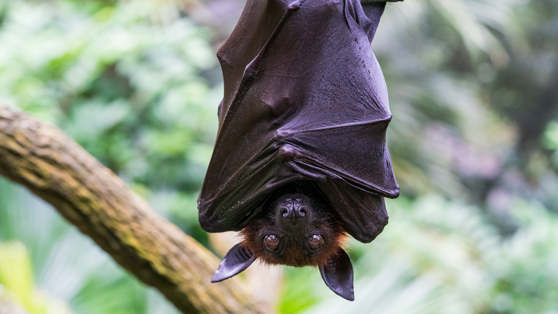 Adobe Stock 373493641 63175da0ed4f4