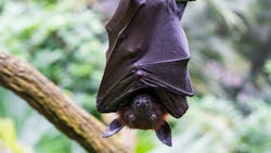 Adobe Stock 373493641 63175da0ed4f4 Adobe Stock 373493641 63175da0ed4f4