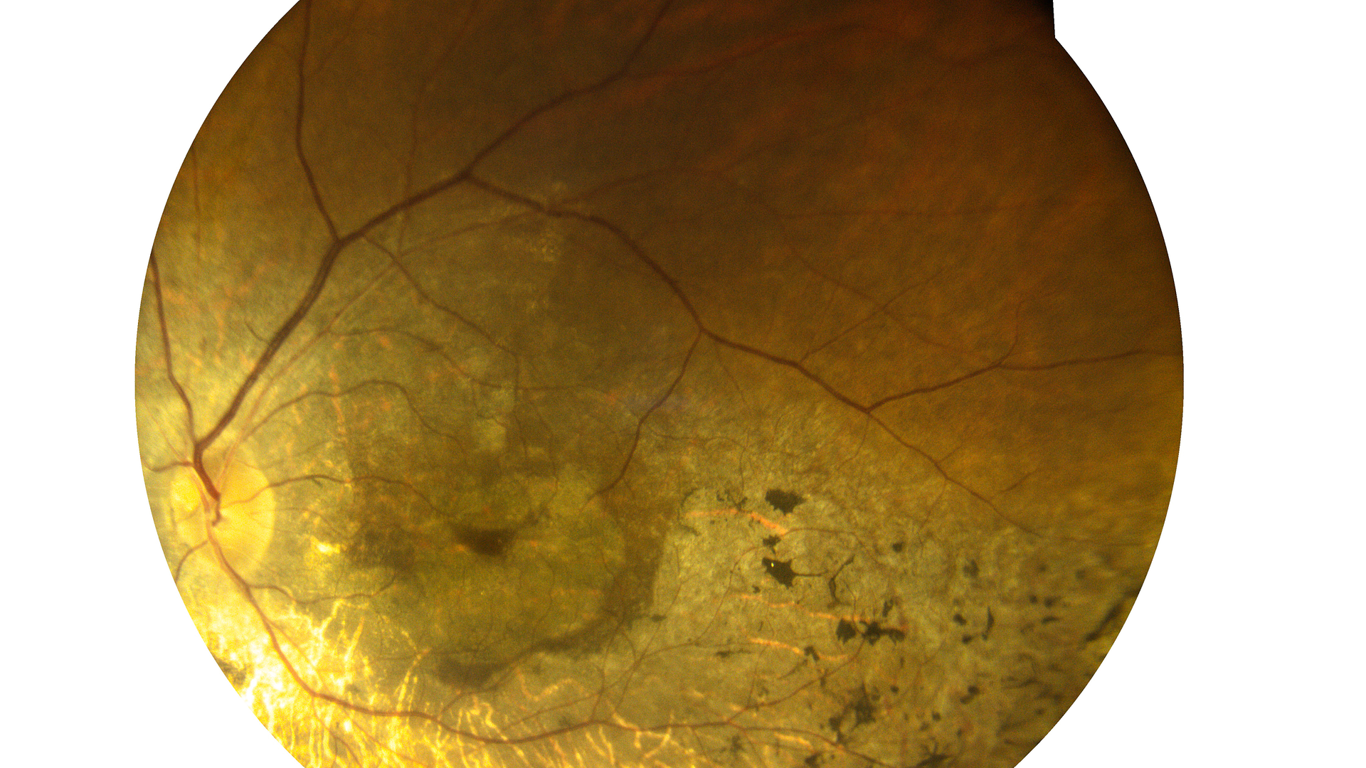 Adobe Stock 396526284 6318bd0fed41c