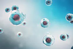 Adobe Stock 254630290 63343d82634a7 Adobe Stock 254630290 63343d82634a7