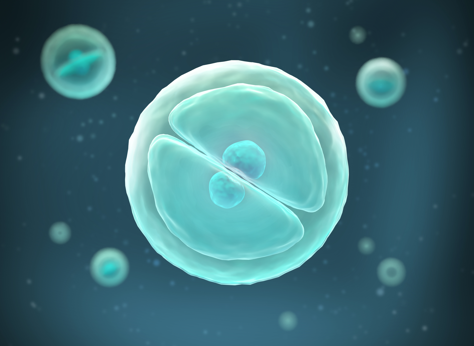 Adobe Stock 289856629 631b5aebc370f