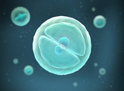 Adobe Stock 289856629 631b5aebc370f Adobe Stock 289856629 631b5aebc370f