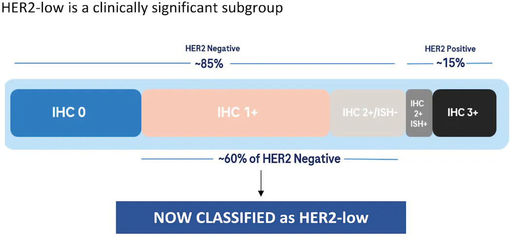 Breast cancer biomarkers, and a new clinical category for HER2 ...