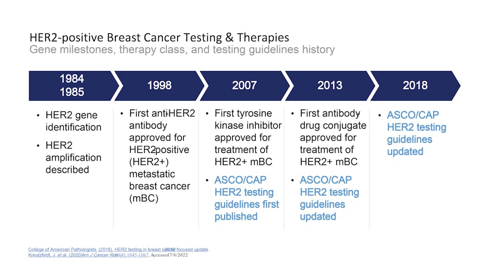 Breast cancer biomarkers, and a new clinical category for HER2 expression