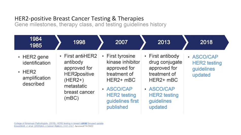 Breast cancer biomarkers, and a new clinical category for HER2 ...