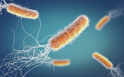 The Gram-negative Pseudomonas bacterium can cause bloodstream infections, especially among hospitalized patients. The Gram-negative Pseudomonas bacterium can cause bloodstream infections, especially among hospitalized patients.