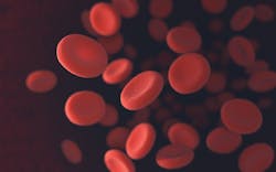 Dreamstime Xxl 49555931 1 6323727a0fc66 Dreamstime Xxl 49555931 1 6323727a0fc66