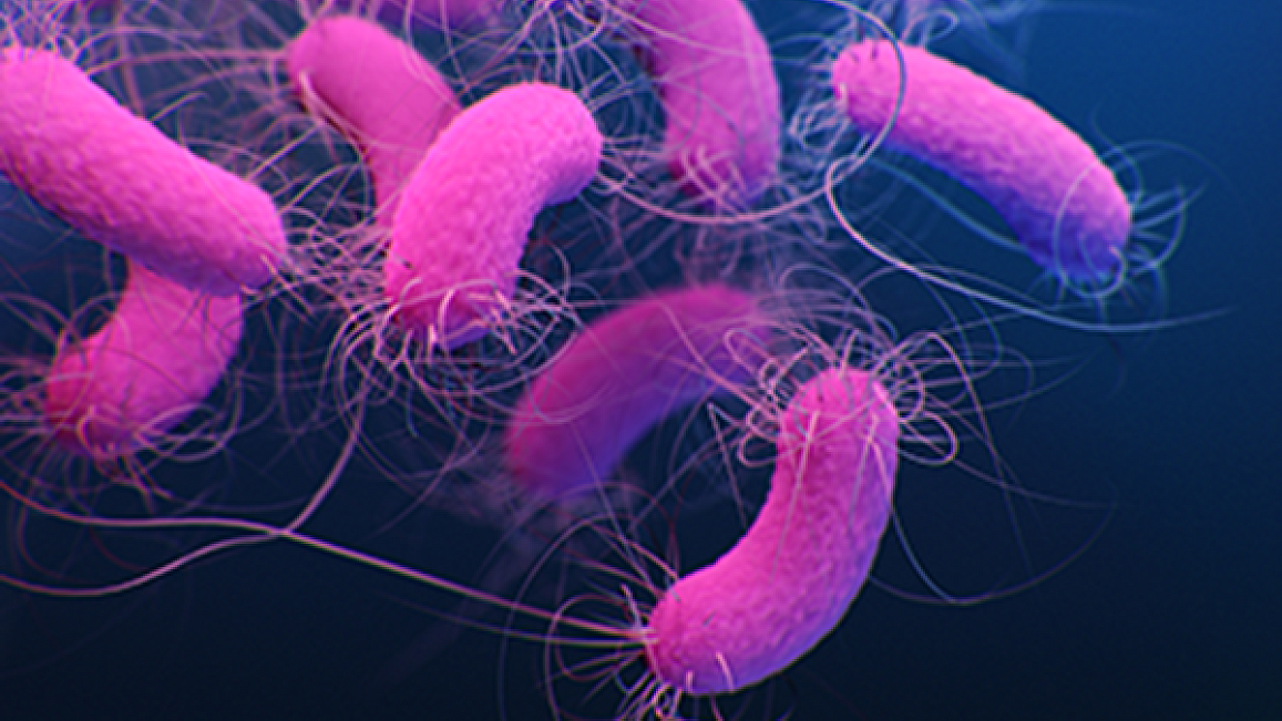 Courtesy of the NIH