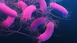 Courtesy of the NIH Courtesy of the NIH