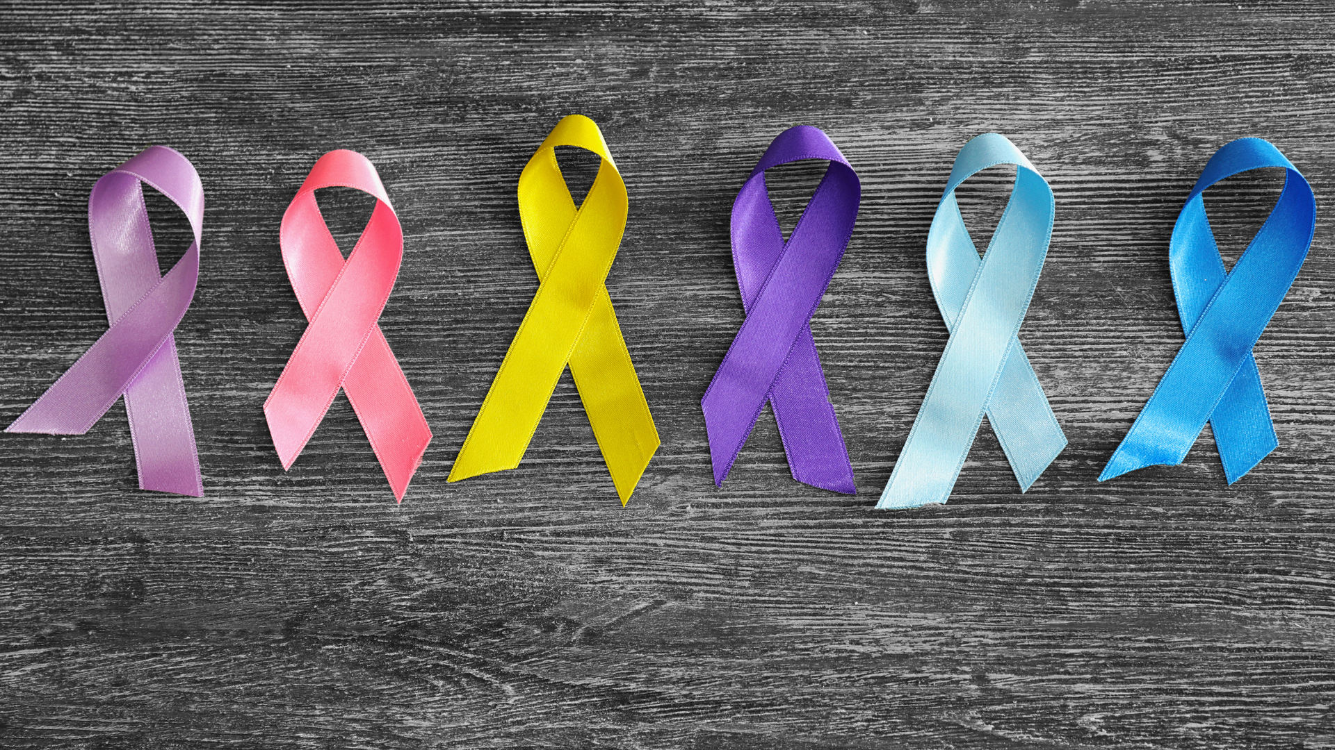 Adobe Stock 218211459 635fcde862e1a