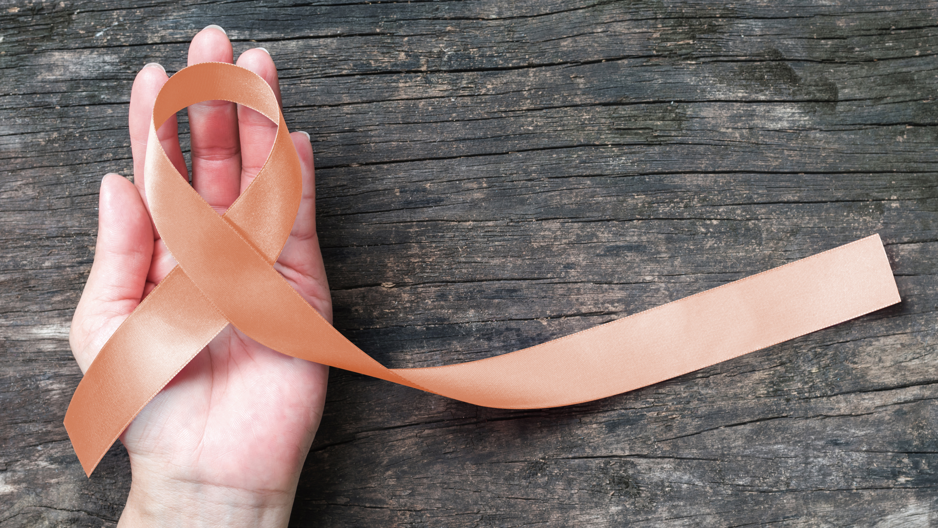 Adobe Stock 268610221 635fc4e3c6e94