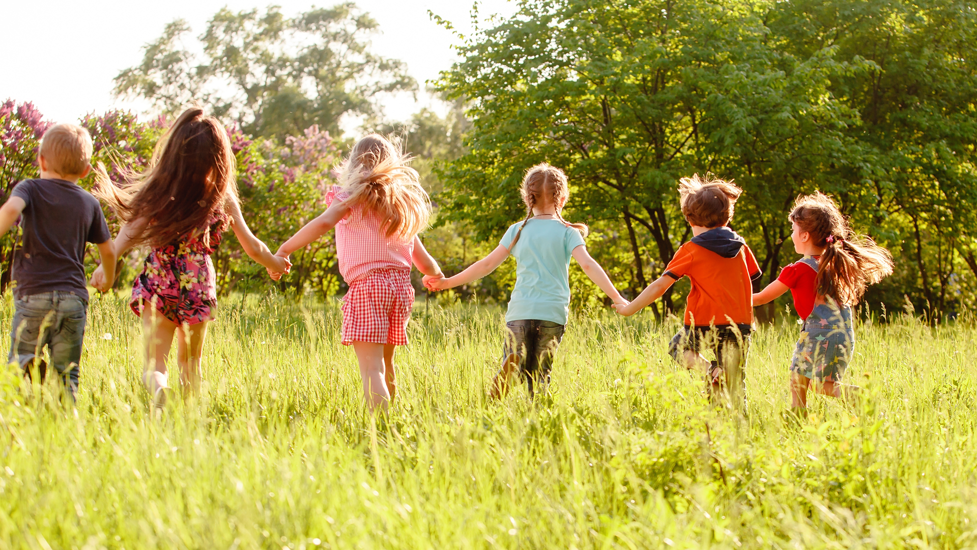 Adobe Stock 270020690 635fc053bb682