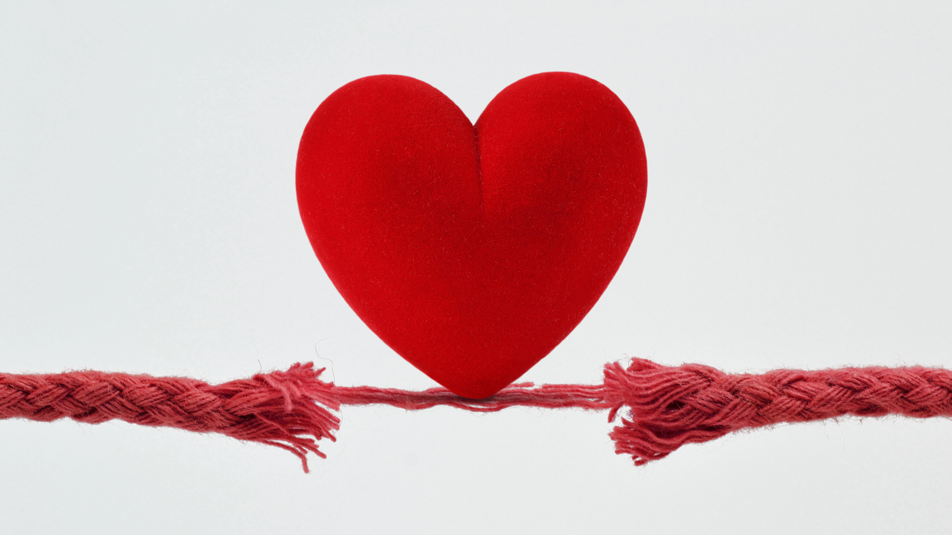 Adobe Stock 382622285 63516c5202d82