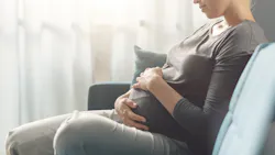 Adobe Stock 383391184 633da660daa96 Adobe Stock 383391184 633da660daa96