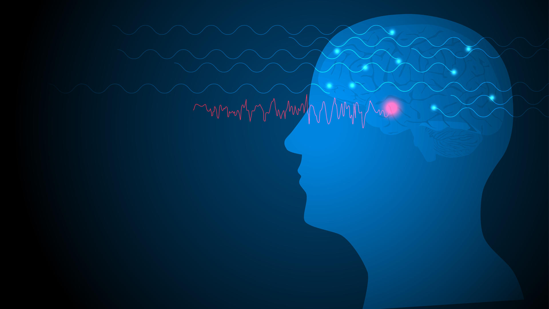 Adobe Stock 440264779 635bf2907edc5