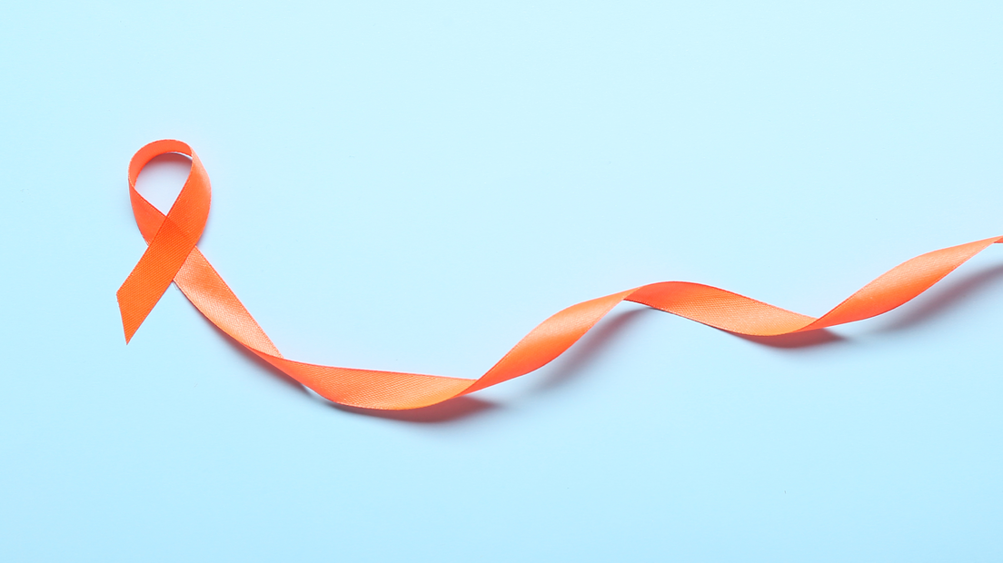 Adobe Stock 477812802 635bf031209b5