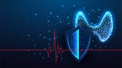 Adobe Stock 502155226 635bf34b8ec16 Adobe Stock 502155226 635bf34b8ec16