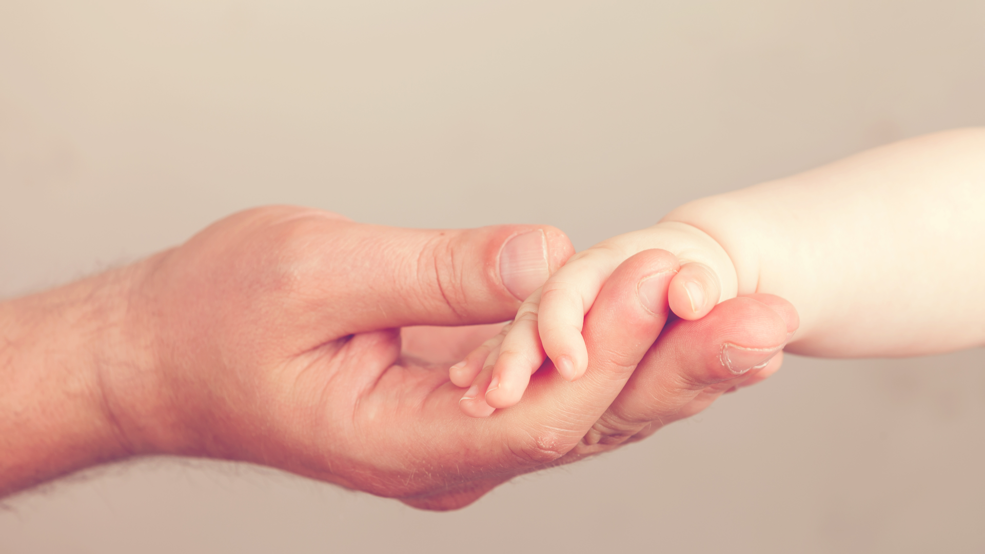 Adobe Stock 85194435 634eccef2d915