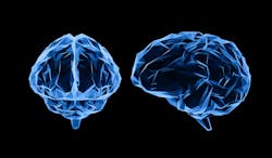 Adobe Stock 261721378 635a9d927b73e Adobe Stock 261721378 635a9d927b73e