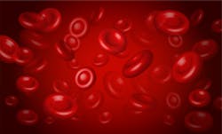 Adobe Stock 269847175 63482a3eca3f9 Adobe Stock 269847175 63482a3eca3f9