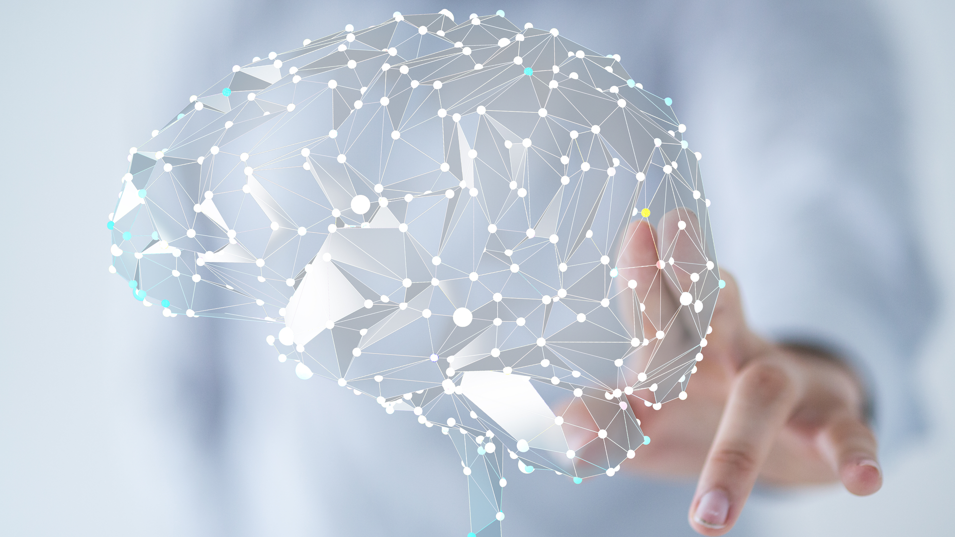 Adobe Stock 116243941 6384cf801e3ae