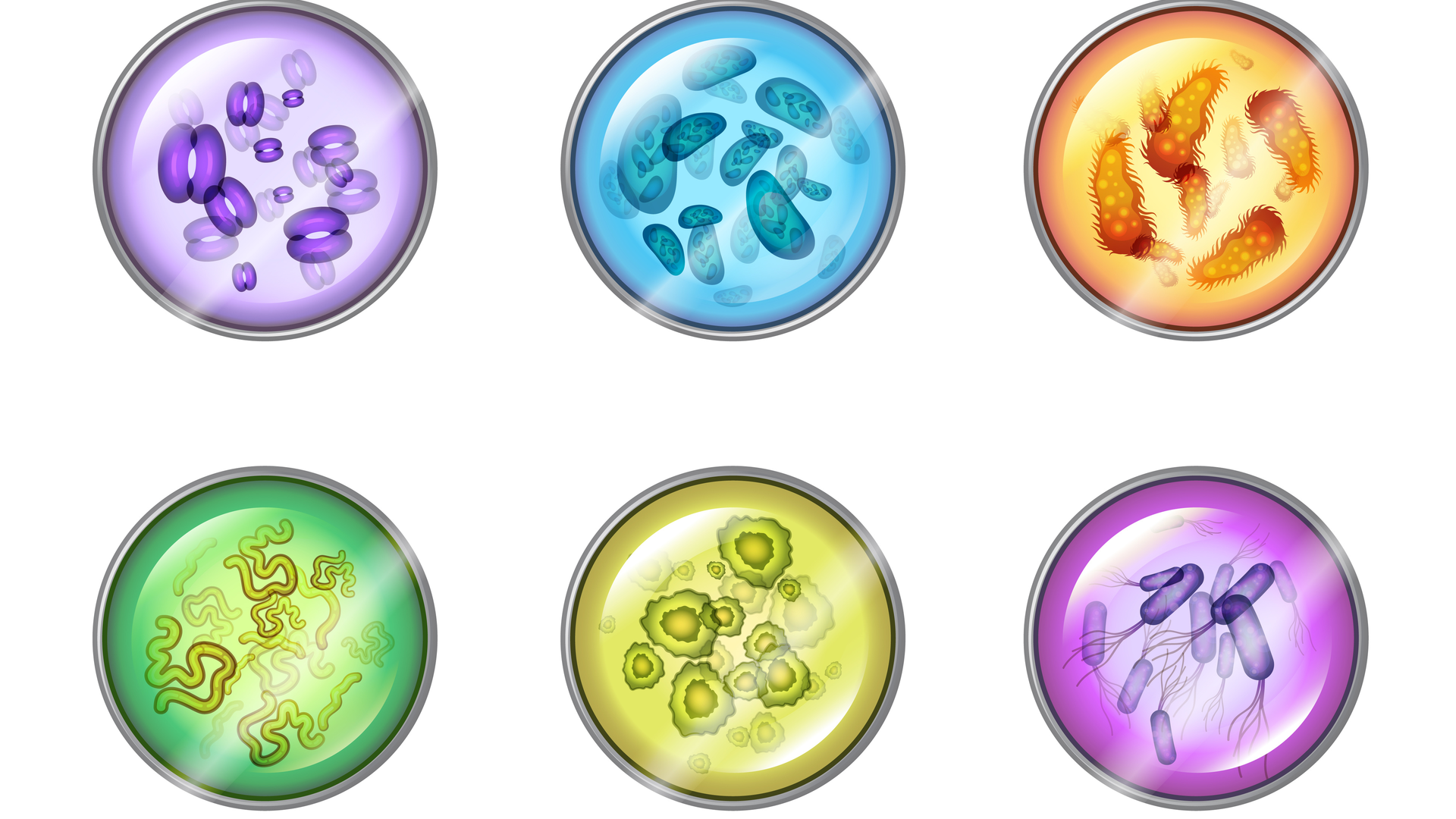 Global Mortality Associated With 33 Bacterial Pathogens In 2019 ...