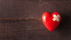 Adobe Stock 245142321 636d23a891958 Adobe Stock 245142321 636d23a891958