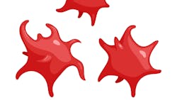 Adobe Stock 269899589 636e5b70e4eaf Adobe Stock 269899589 636e5b70e4eaf