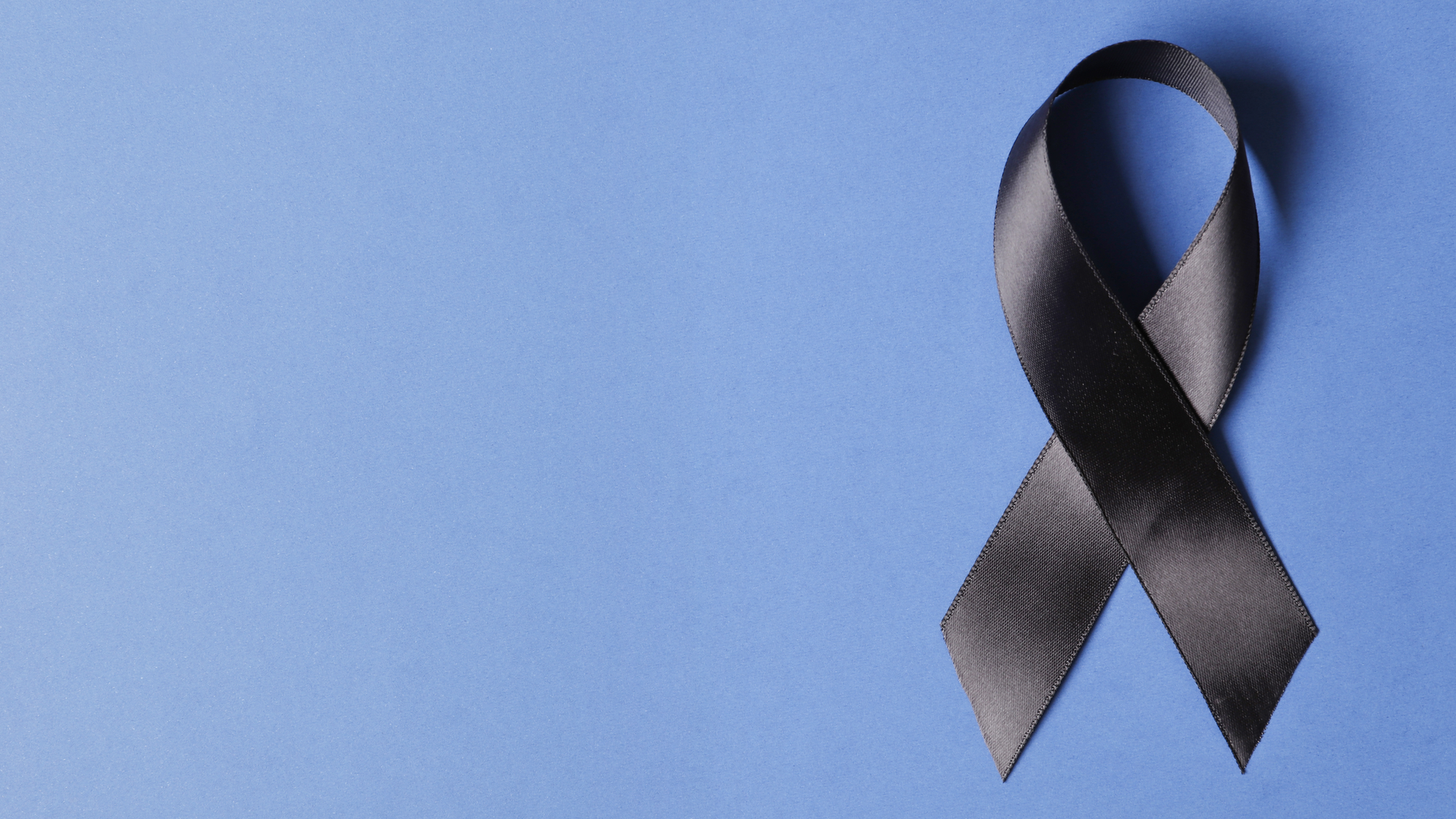 Adobe Stock 293139388 1 637406ff95547