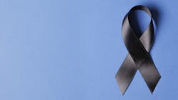 Adobe Stock 293139388 1 637406ff95547 Adobe Stock 293139388 1 637406ff95547