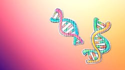 Adobe Stock 353530815 63651efd37cf5 Adobe Stock 353530815 63651efd37cf5