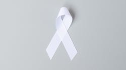 Adobe Stock 381089274 636e6135d4194 Adobe Stock 381089274 636e6135d4194