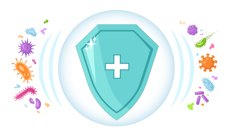 Adobe Stock 394349748 637ce8f487e3d