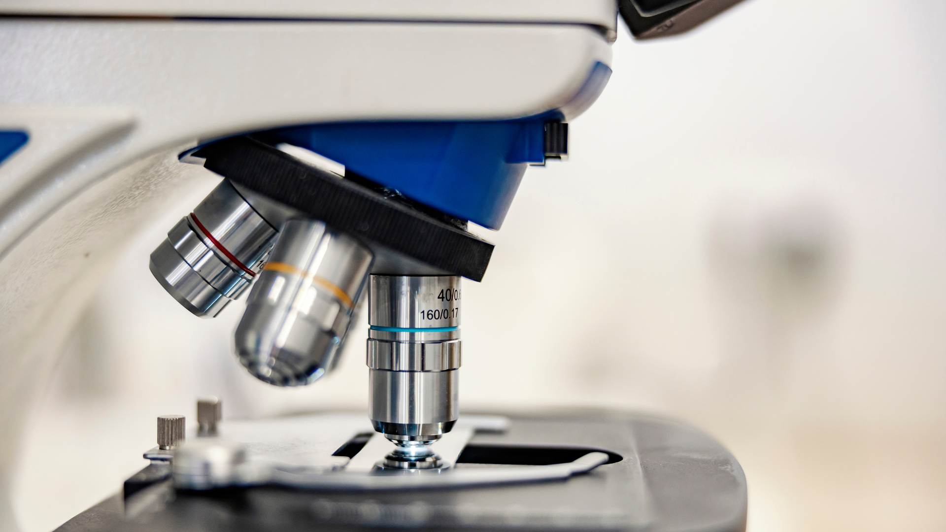 Adobe Stock 474935401 636bbd10537ae