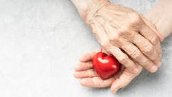 Adobe Stock 484023009 6373a14096a14 Adobe Stock 484023009 6373a14096a14