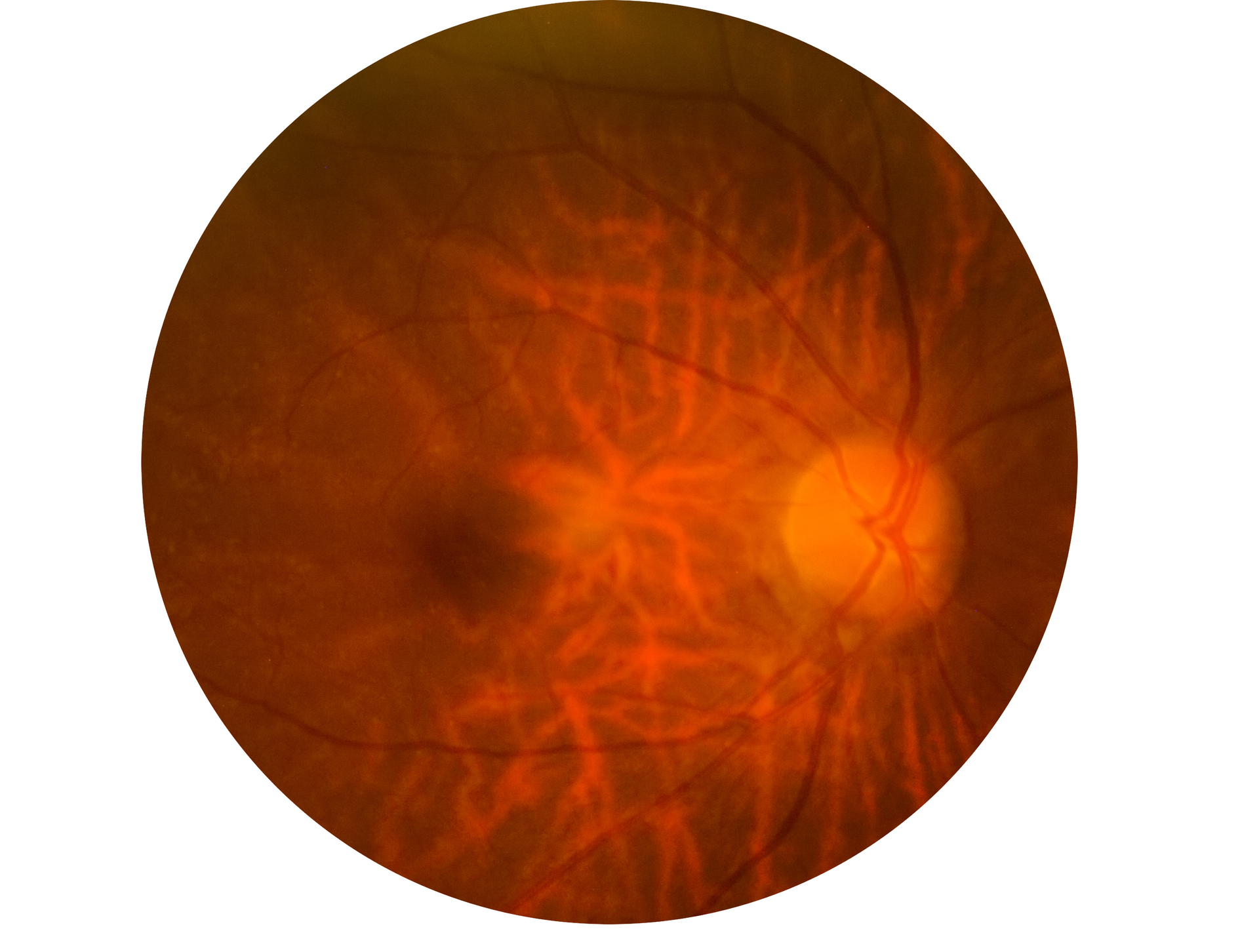 Adobe Stock 260553058 6387825a354c3