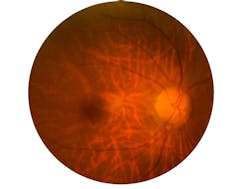 Adobe Stock 260553058 6387825a354c3 Adobe Stock 260553058 6387825a354c3