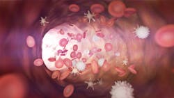 Adobe Stock 260676797 636a7990864b9 Adobe Stock 260676797 636a7990864b9