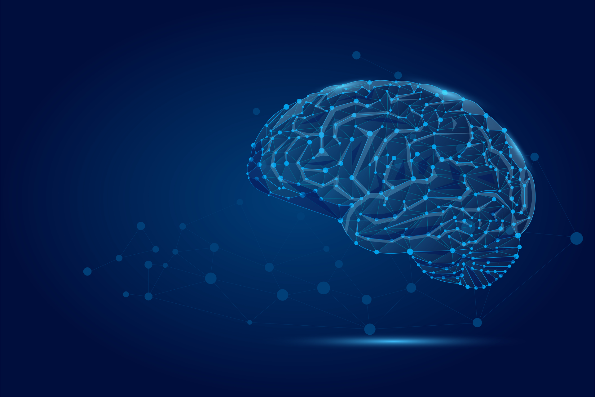 Adobe Stock 310987438 6373fda5d4076