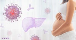 Article Image 6373e0e14086e Article Image 6373e0e14086e