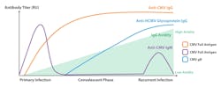 Figure 1: Antibody kinetics in CMV infection. Figure 1: Antibody kinetics in CMV infection.