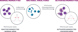 Figure 2. MDW–Monocytes Activation Figure 2. MDW–Monocytes Activation