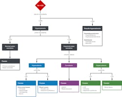 Figure 2. Clinical pathway for diagnosing hyponatremia. Figure 2. Clinical pathway for diagnosing hyponatremia.