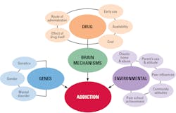 Figure 3. Factors influencing drug addiction. Figure 3. Factors influencing drug addiction.