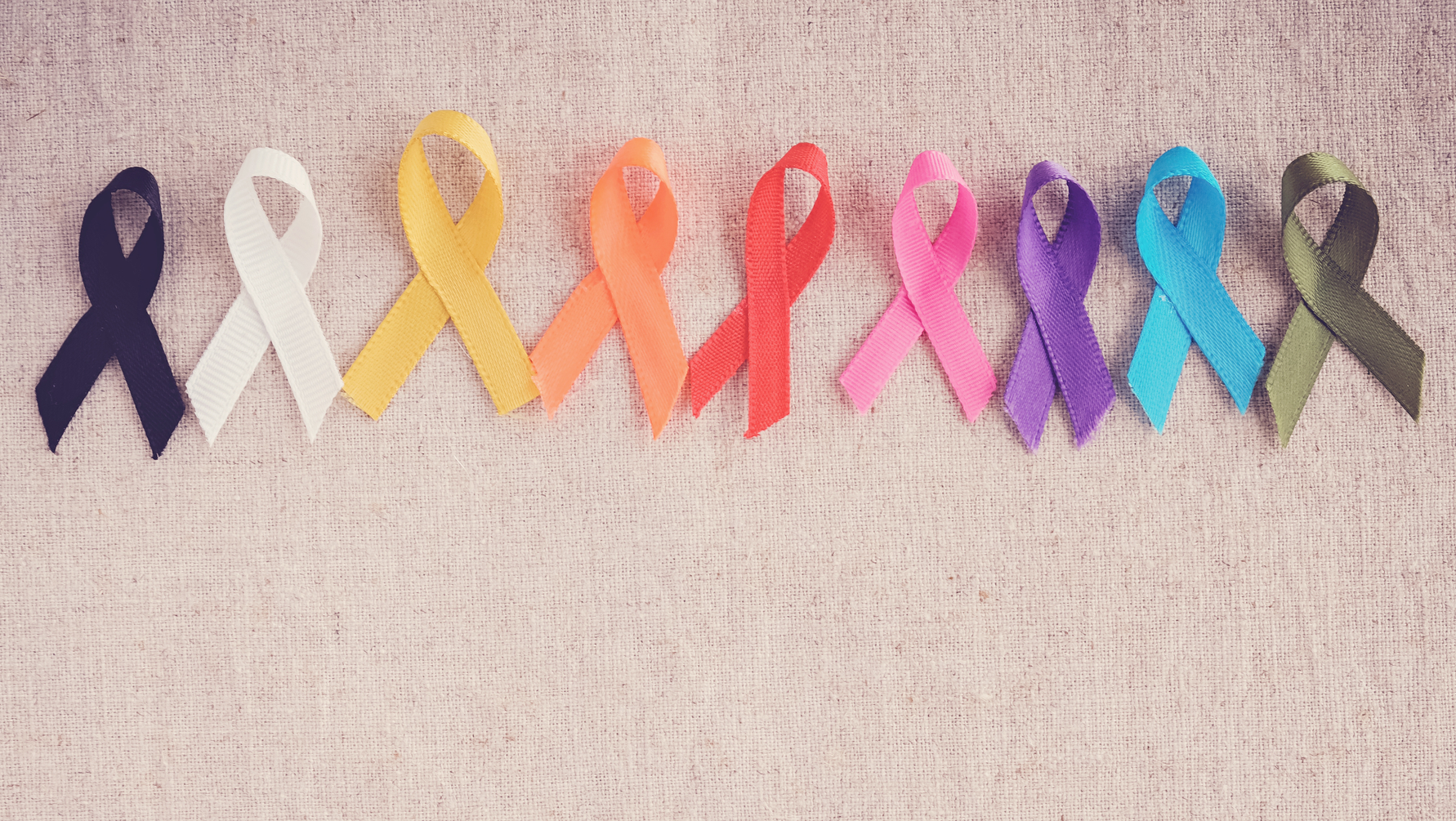 Adobe Stock 182919593 63ac5d3457745