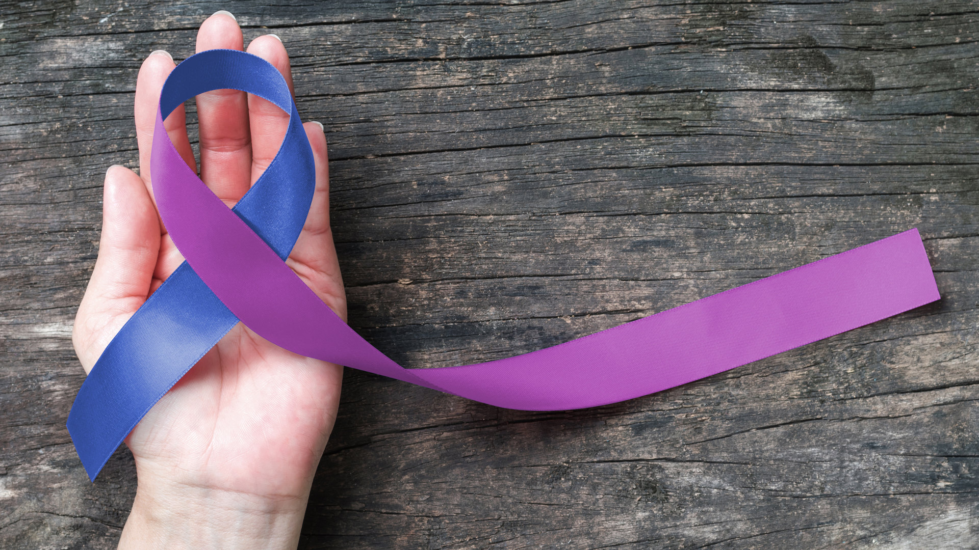 Adobe Stock 205351527 638f5775373e0