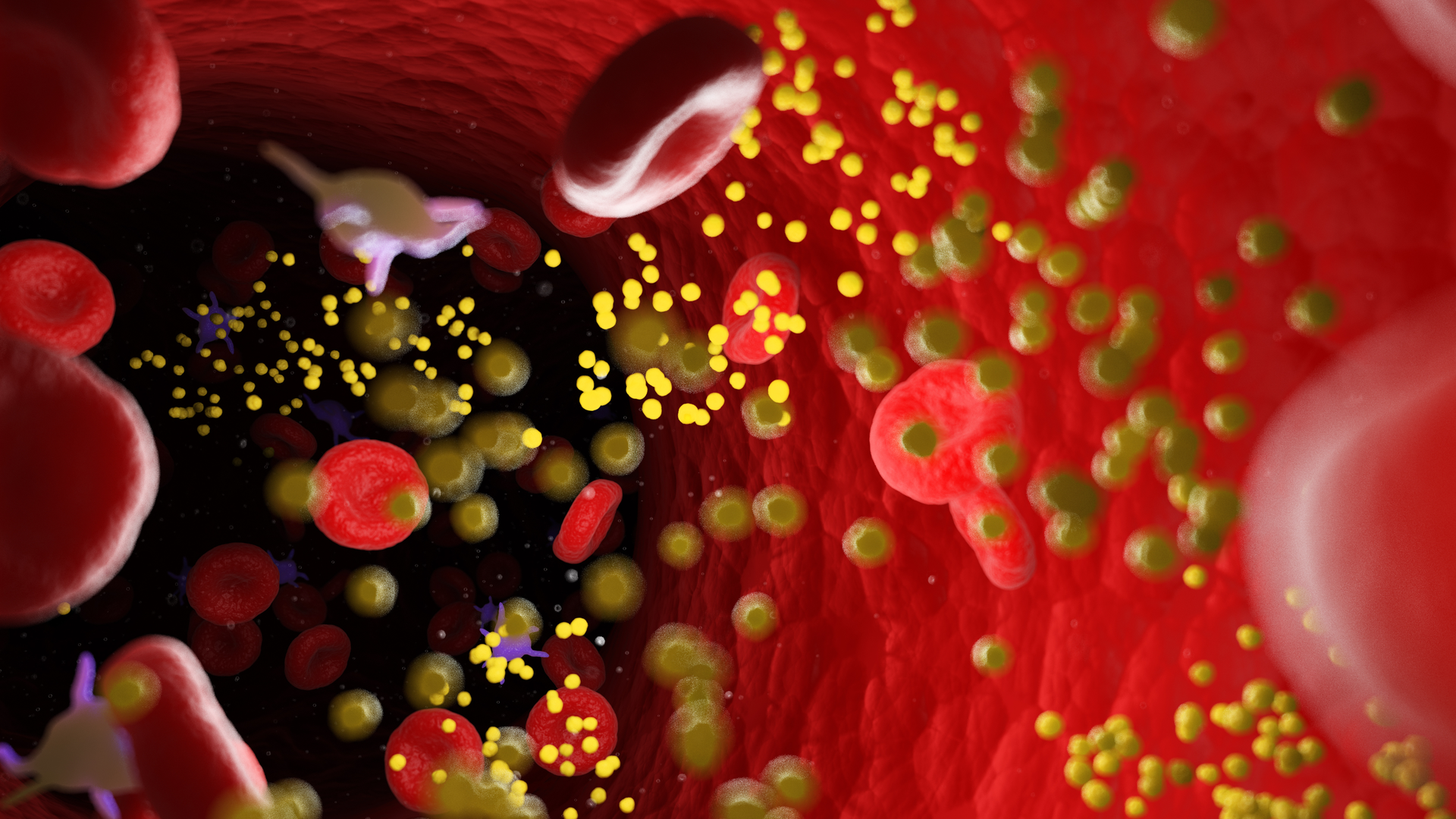 Adobe Stock 265142906 639b50e2f3965